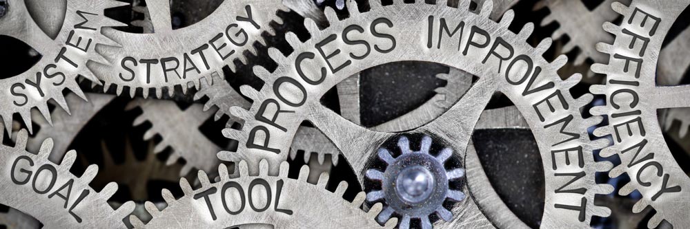 Capventis business improvement process