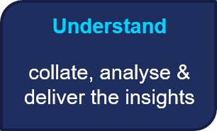 collate, analyse & deliver the insights