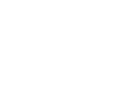 ZD Logo