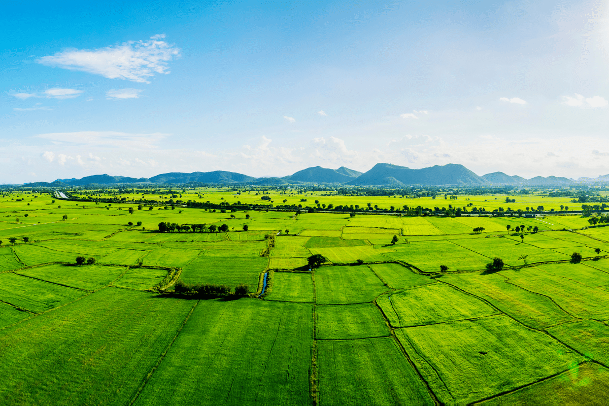Capventis Green Landscape
